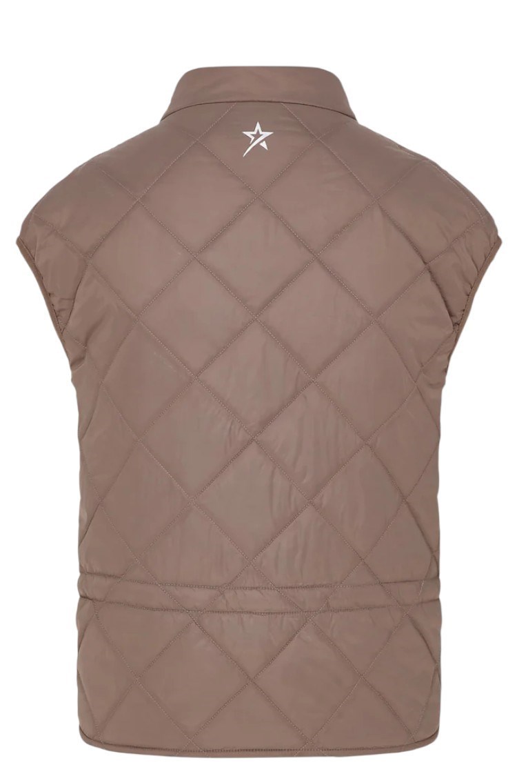 Picture of Swing out Sister Ladies Pearl Active Vest - Walnut Whip