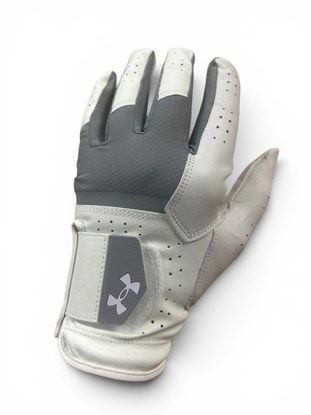Show details for Under Armour Men's UA Glide Iso-Chill Pro Golf Golf Glove - White / Grey